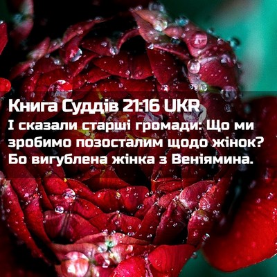 Picture 02 - Книга Суддів 21:16 UKR - І сказали старші громади: - Bible Verse Picture