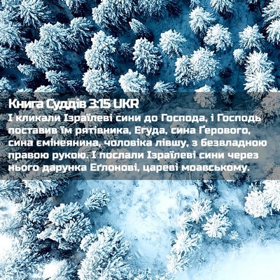 Picture 02 - Книга Суддів 3:15 UKR - І кликали Ізраїлеві сини - Bible Verse Picture