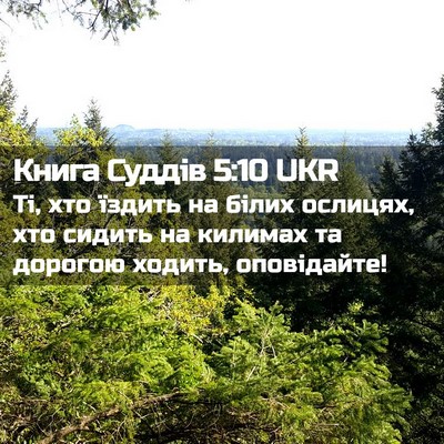 Picture 02 - Книга Суддів 5:10 UKR - Ті, хто їздить на білих - Bible Verse Picture