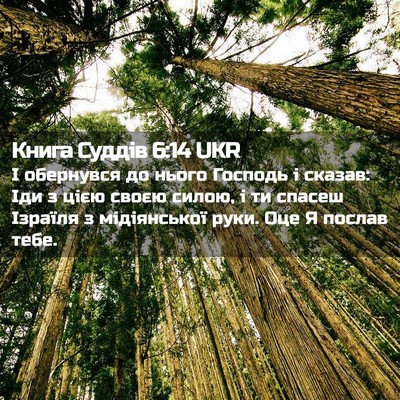 Picture 02 - Книга Суддів 6:14 UKR - І обернувся до нього - Bible Verse Picture