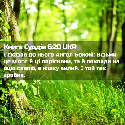 Picture 02 - Книга Суддів 6:20 UKR - І сказав до нього Ангол - Bible Verse Picture