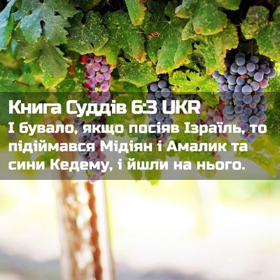 Picture 02 - Книга Суддів 6:3 UKR - І бувало, якщо посіяв - Bible Verse Picture