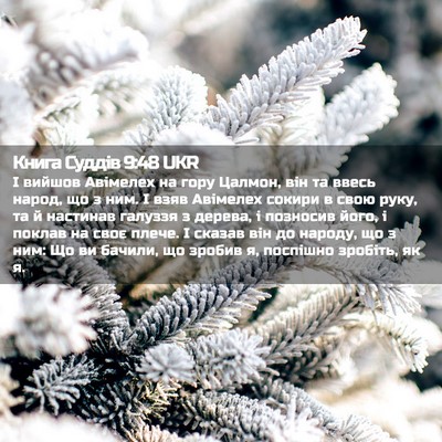 Picture 02 - Книга Суддів 9:48 UKR - І вийшов Авімелех на гору - Bible Verse Picture
