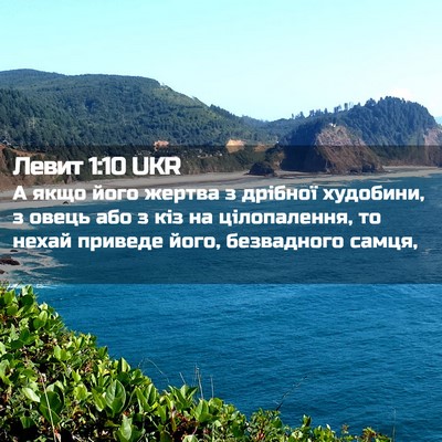 Picture 02 - Левит 1:10 UKR - А якщо його жертва з - Bible Verse Picture