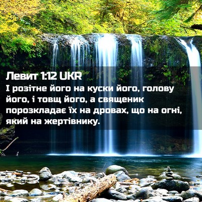 Picture 02 - Левит 1:12 UKR - І розітне його на куски - Bible Verse Picture
