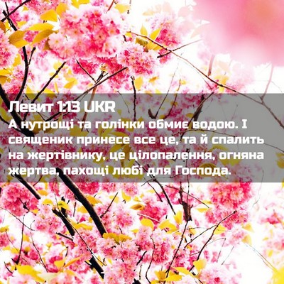 Picture 02 - Левит 1:13 UKR - А нутрощі та голінки обмиє - Bible Verse Picture