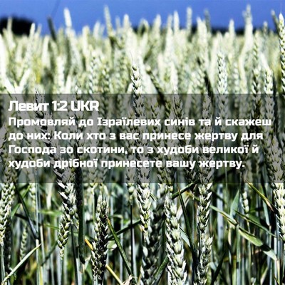 Picture 02 - Левит 1:2 UKR - Промовляй до Ізраїлевих - Bible Verse Picture