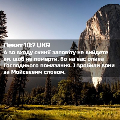 Picture 02 - Левит 10:7 UKR - А зо входу скинії заповіту - Bible Verse Picture