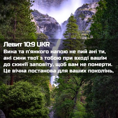Picture 02 - Левит 10:9 UKR - Вина та п'янкого напою не - Bible Verse Picture