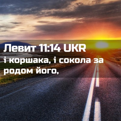 Picture 02 - Левит 11:14 UKR - і коршака, і сокола за - Bible Verse Picture