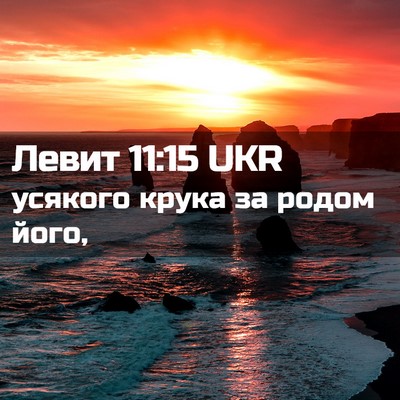 Picture 02 - Левит 11:15 UKR - усякого крука за родом - Bible Verse Picture