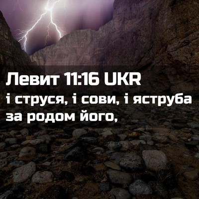 Picture 02 - Левит 11:16 UKR - і струся, і сови, і яструба - Bible Verse Picture