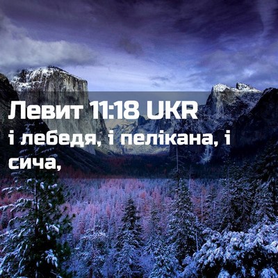 Picture 02 - Левит 11:18 UKR - і лебедя, і пелікана, і - Bible Verse Picture