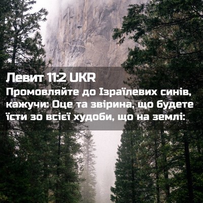 Picture 02 - Левит 11:2 UKR - Промовляйте до Ізраїлевих - Bible Verse Picture