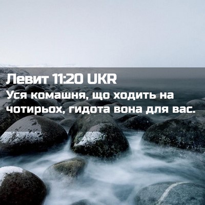 Picture 02 - Левит 11:20 UKR - Уся комашня, що ходить на - Bible Verse Picture