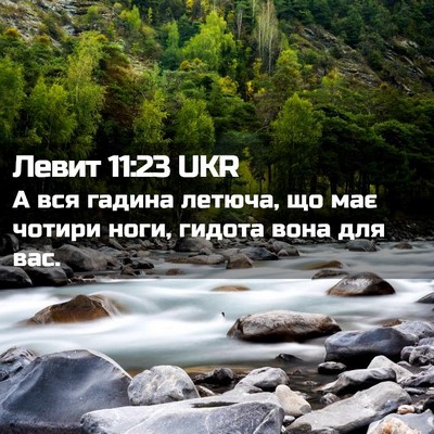 Picture 02 - Левит 11:23 UKR - А вся гадина летюча, що має - Bible Verse Picture
