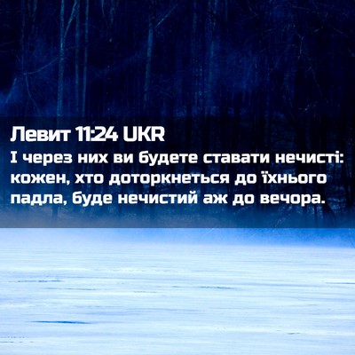 Picture 02 - Левит 11:24 UKR - І через них ви будете - Bible Verse Picture