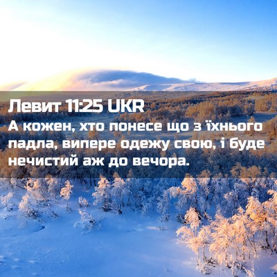 Picture 02 - Левит 11:25 UKR - А кожен, хто понесе що з - Bible Verse Picture