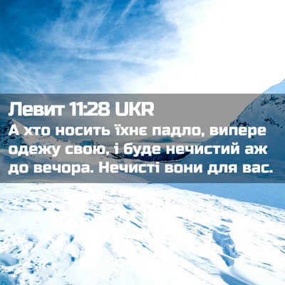 Picture 02 - Левит 11:28 UKR - А хто носить їхнє падло, - Bible Verse Picture