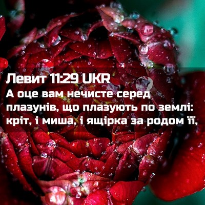 Picture 02 - Левит 11:29 UKR - А оце вам нечисте серед - Bible Verse Picture