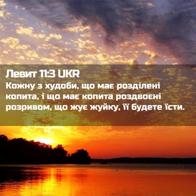 Picture 02 - Левит 11:3 UKR - Кожну з худоби, що має - Bible Verse Picture