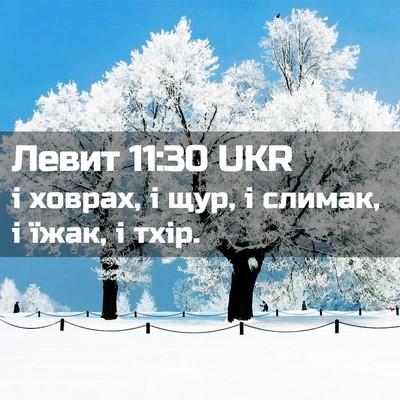 Picture 02 - Левит 11:30 UKR - і ховрах, і щур, і слимак, і - Bible Verse Picture