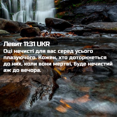 Picture 02 - Левит 11:31 UKR - Оці нечисті для вас серед - Bible Verse Picture