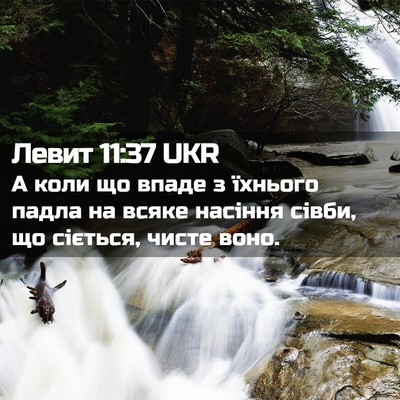 Picture 02 - Левит 11:37 UKR - А коли що впаде з їхнього - Bible Verse Picture