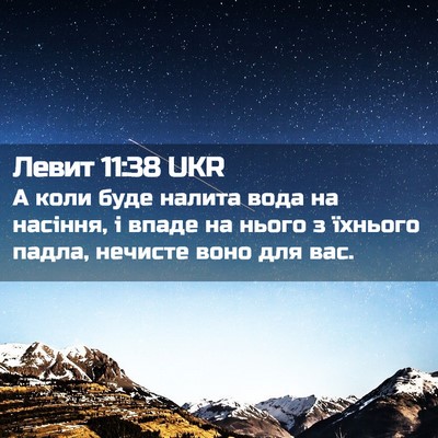 Picture 02 - Левит 11:38 UKR - А коли буде налита вода на - Bible Verse Picture