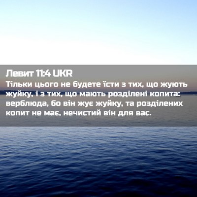 Picture 02 - Левит 11:4 UKR - Тільки цього не будете - Bible Verse Picture