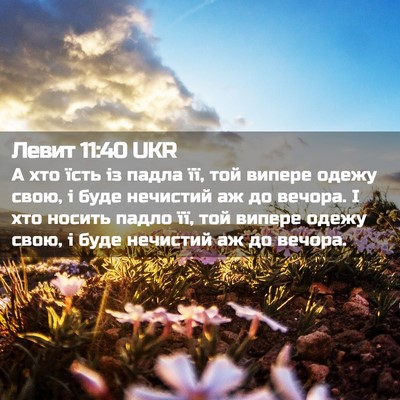 Picture 02 - Левит 11:40 UKR - А хто їсть із падла її, той - Bible Verse Picture