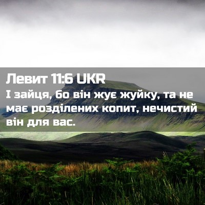 Picture 02 - Левит 11:6 UKR - І зайця, бо він жує жуйку, - Bible Verse Picture
