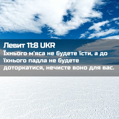 Picture 02 - Левит 11:8 UKR - Їхнього м'яса не будете - Bible Verse Picture