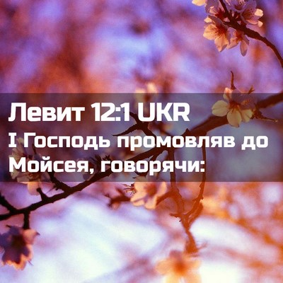 Picture 02 - Левит 12:1 UKR - І Господь промовляв до - Bible Verse Picture