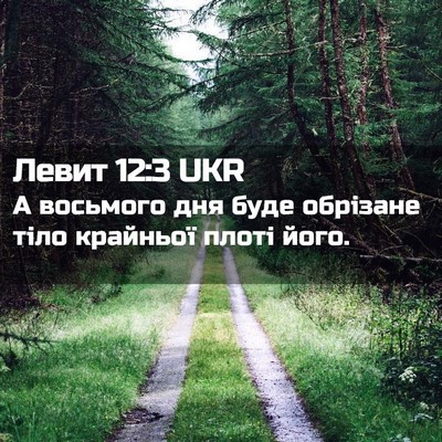 Picture 02 - Левит 12:3 UKR - А восьмого дня буде - Bible Verse Picture