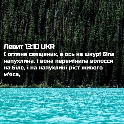 Picture 02 - Левит 13:10 UKR - І огляне священик, а ось на - Bible Verse Picture