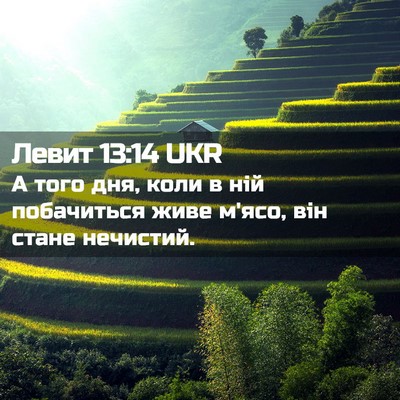 Picture 02 - Левит 13:14 UKR - А того дня, коли в ній - Bible Verse Picture