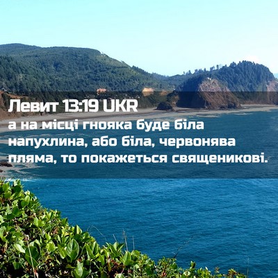 Picture 02 - Левит 13:19 UKR - а на місці гнояка буде біла - Bible Verse Picture