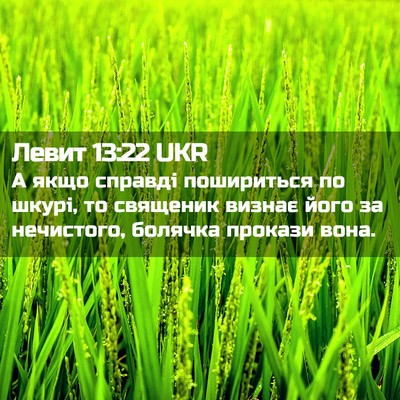 Picture 02 - Левит 13:22 UKR - А якщо справді пошириться - Bible Verse Picture