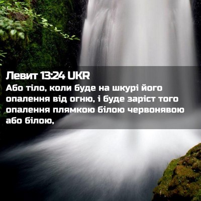 Picture 02 - Левит 13:24 UKR - Або тіло, коли буде на - Bible Verse Picture