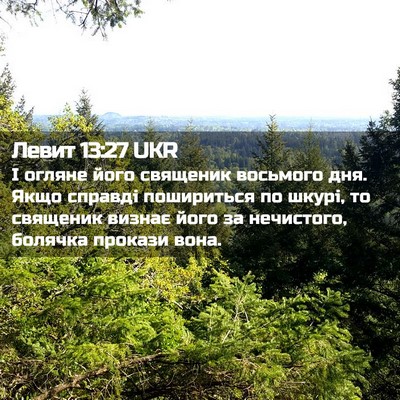 Picture 02 - Левит 13:27 UKR - І огляне його священик - Bible Verse Picture