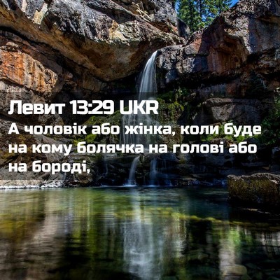 Picture 02 - Левит 13:29 UKR - А чоловік або жінка, коли - Bible Verse Picture