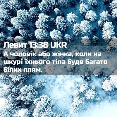 Picture 02 - Левит 13:38 UKR - А чоловік або жінка, коли - Bible Verse Picture