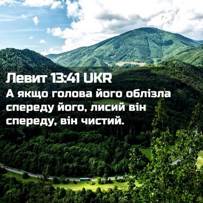 Picture 02 - Левит 13:41 UKR - А якщо голова його облізла - Bible Verse Picture