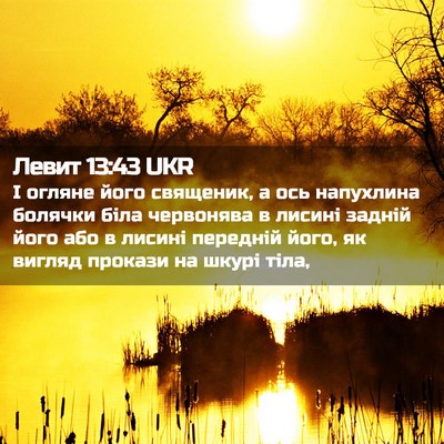 Picture 02 - Левит 13:43 UKR - І огляне його священик, а - Bible Verse Picture