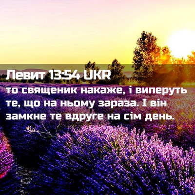 Picture 02 - Левит 13:54 UKR - то священик накаже, і - Bible Verse Picture