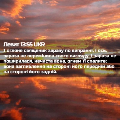 Picture 02 - Левит 13:55 UKR - І огляне священик заразу - Bible Verse Picture