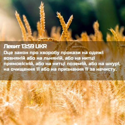 Picture 02 - Левит 13:59 UKR - Оце закон про хворобу - Bible Verse Picture
