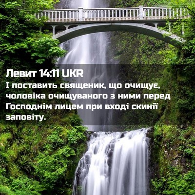 Picture 02 - Левит 14:11 UKR - І поставить священик, що - Bible Verse Picture