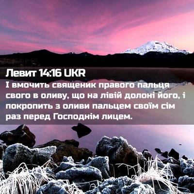 Picture 02 - Левит 14:16 UKR - І вмочить священик правого - Bible Verse Picture